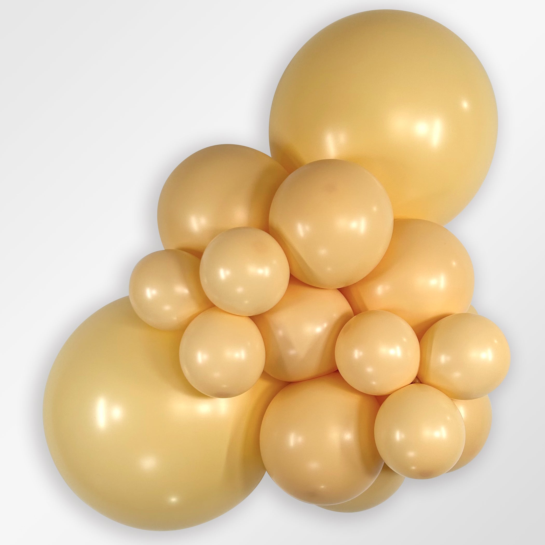18 Ct Ribbon Roses Sempertex Latex Balloons - Choose Your Color & Size – Balloons by Jolie
