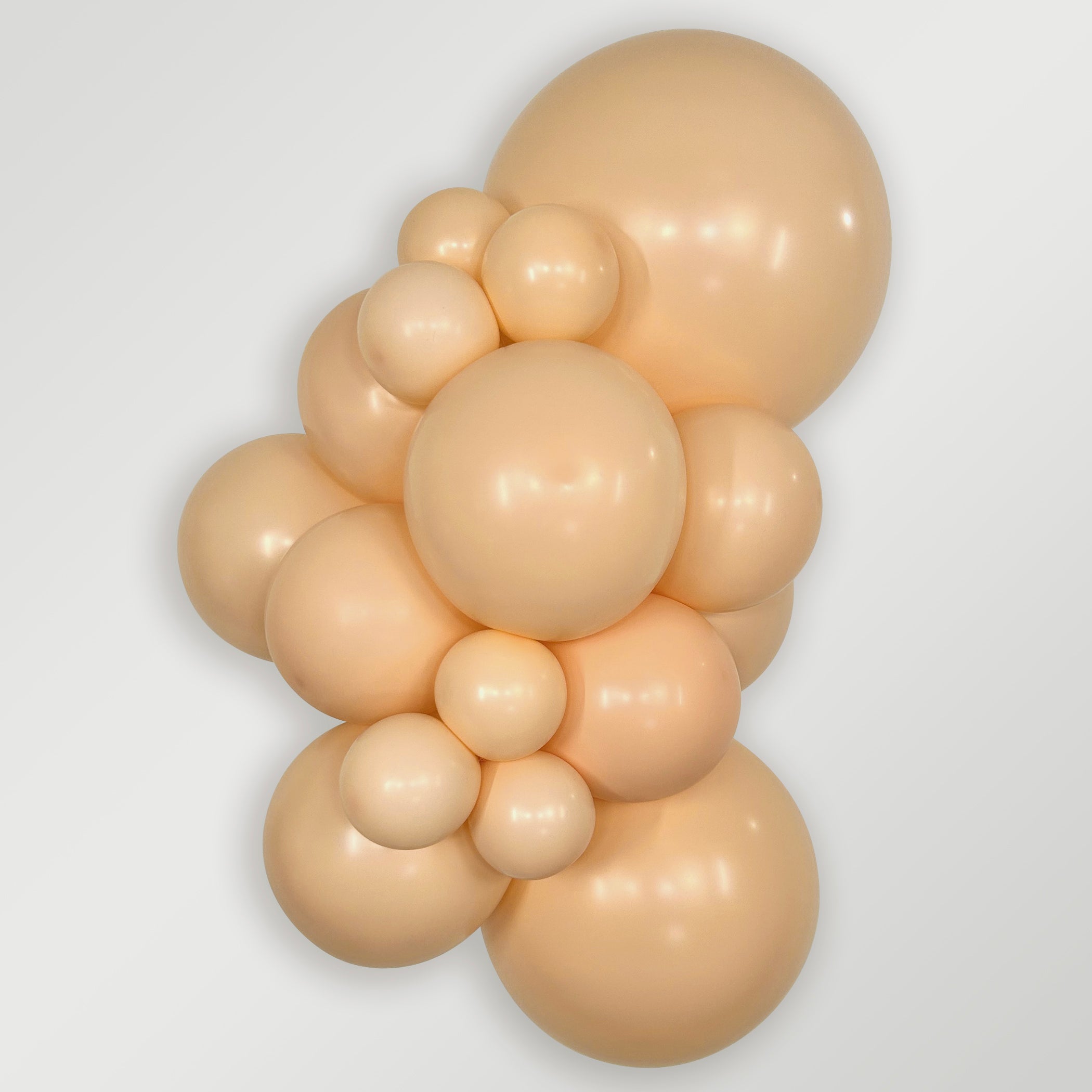 18 Ct Ribbon Roses Sempertex Latex Balloons - Choose Your Color & Size – Balloons by Jolie
